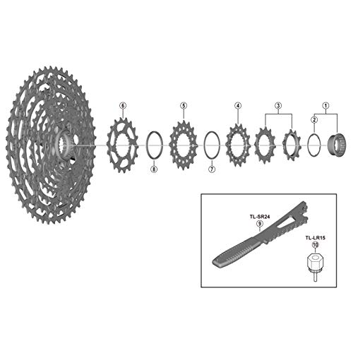 PIÑON SHIMANO 14D